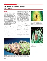 49. Seed and Cone Insects Alex C