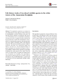 Life History Traits of Two Dwarf Cichlids Species in the White Waters of the Amazonian Floodplain