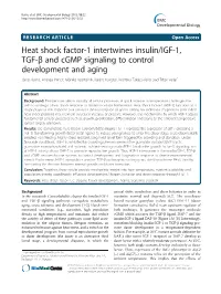 Heat Shock Factor-1 Intertwines Insulin/IGF-1, TGF- and Cgmp