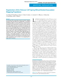 Registration of the Triticeae-CAP Spring Wheat Nested Association Mapping Population
