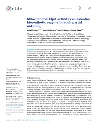 Mitochondrial Clpx Activates an Essential Biosynthetic Enzyme Through Partial Unfolding Julia R Kardon1,2,3*, Jamie a Moroco4†, John R Engen4, Tania a Baker2,3*