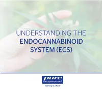 Understanding the Endocannabinoid System