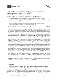 Efficient Regeneration of Hedychium Coronarium Through Protocorm-Like Bodies