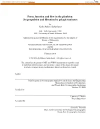 Form, Function and Flow in the Plankton: Jet Propulsion and Filtration by Pelagic Tunicates