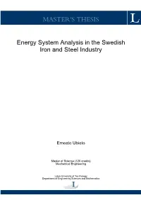 Master's Thesis