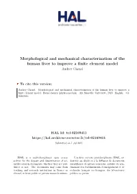 Morphological and Mechanical Characterization of the Human Liver to Improve a Finite Element Model Audrey Chenel
