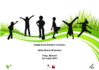 Open Space Strategy Final Report October 2017