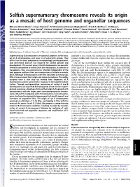 Selfish Supernumerary Chromosome Reveals Its Origin As a Mosaic of Host Genome and Organellar Sequences