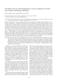 Bird Behaviour on and Entanglement in Invasive Burdock (Arctium Spp.) Plants in Winnipeg, Manitoba