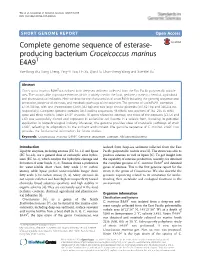 Complete Genome Sequence of Esterase-Producing Bacterium