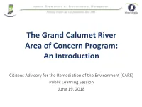 The Grand Calumet River Area of Concern Program: an Introduction