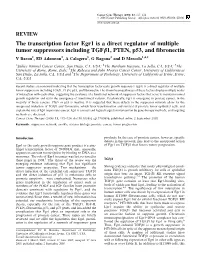 The Transcription Factor Egr1 Is a Direct Regulator of Multiple Tumor
