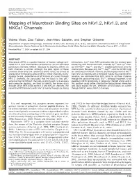 Mapping of Maurotoxin Binding Sites on Hkv1.2, Hkv1.3, and Hikca1 Channels