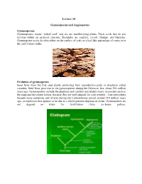Handouts-Lect. 30 Gymnosperms and Angiosperms.Pdf