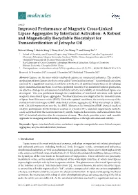 Improved Performance of Magnetic Cross-Linked Lipase Aggregates By