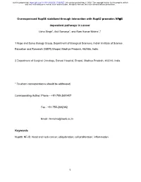 Overexpressed Nup88 Stabilized Through Interaction with Nup62 Promotes NFB