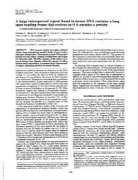 A Large Interspersed Repeat Found in Mouse DNA Contains a Long Open