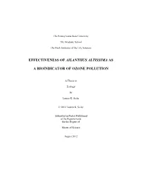 Effectiveness of Ailanthus Altissima As a Bioindicator of Ozone Pollution