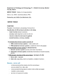 NERVE TISSUE Neuron – Nerve Cell