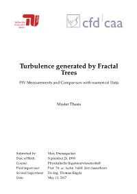 Turbulence Generated by Fractal Trees