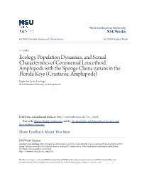 Ecology, Population Dynamics, and Sexual Characteristics Of