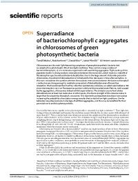 Superradiance of Bacteriochlorophyll C Aggregates in Chlorosomes Of