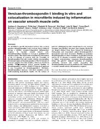 Versican-Thrombospondin-1 Binding in Vitro and Colocalization in Microﬁbrils Induced by Inﬂammation on Vascular Smooth Muscle Cells