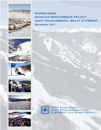 BEAVER CREEK MOUNTAIN IMPROVEMENTS PROJECT DRAFT ENVIRONMENTAL IMPACT STATEMENT November 2011