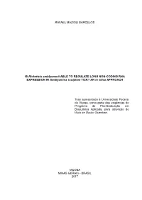IS Rickettsia Amblyommii ABLE to REGULATE LONG NON-CODING RNA EXPRESSION in Amblyomma Sculptum TICK? an in Silico APPROACH