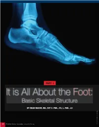 It Is All About the Foot: Basic Skeletal Structure