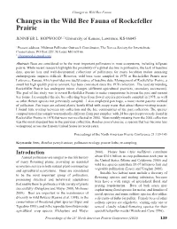Changes in the Wild Bee Fauna of Rockefeller Prairie