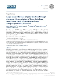 Large-Scale Inference of Gene Function Through Phylogenetic Annotation Of