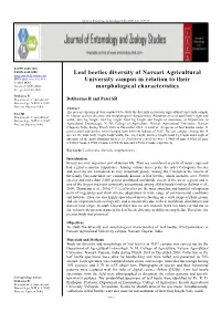 Leaf Beetles Diversity of Navsari Agricultural University Campus In