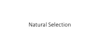 Natural Selection Learning Targets