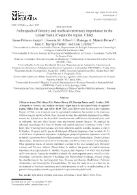 Texto Completo (Pdf)
