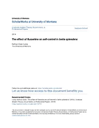 The Effect of Fluoxetine on Self-Control in Betta Splendens