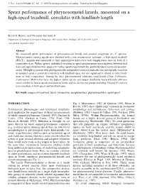 Sprint Performance of Phrynosomatid Lizards, Measured on a High-Speed Treadmill, Correlates with Hindlimb Length