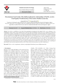 Discriminant-Based Study of the Shell Morphometric Relationships of Patella Caerulea (Gastropoda: Prosobranchia) of the Western Mediterranean Sea