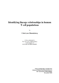 Identifying Lineage Relationships in Human T Cell Populations