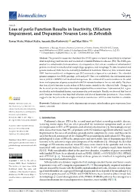 Loss of Parla Function Results in Inactivity, Olfactory Impairment, and Dopamine Neuron Loss in Zebraﬁsh