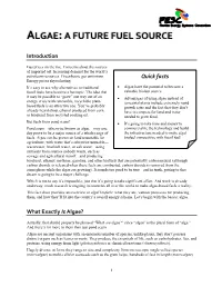 Algae:A Future Fuel Source
