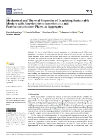 Mechanical and Thermal Properties of Insulating Sustainable Mortars with Ampelodesmos Mauritanicus and Pennisetum Setaceum Plants As Aggregates