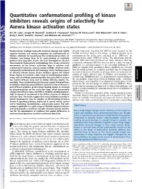 Quantitative Conformational Profiling of Kinase Inhibitors Reveals Origins of Selectivity for Aurora Kinase Activation States