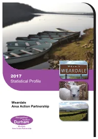 Weardale Area Action Partnership Profile 2017 (PDF