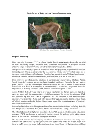 Draft Terms of Reference for Puma (Puma Concolor)