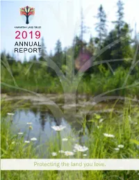 Annual Report 2 | Annual Report