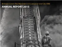 Annual Report 2013
