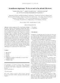Acanthosis Nigricans: to Be Or Not to Be Afraid (Review)