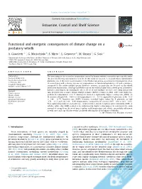 Functional and Energetic Consequences of Climate Change on a Predatory Whelk
