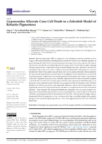 Gypenosides Alleviate Cone Cell Death in a Zebrafish Model